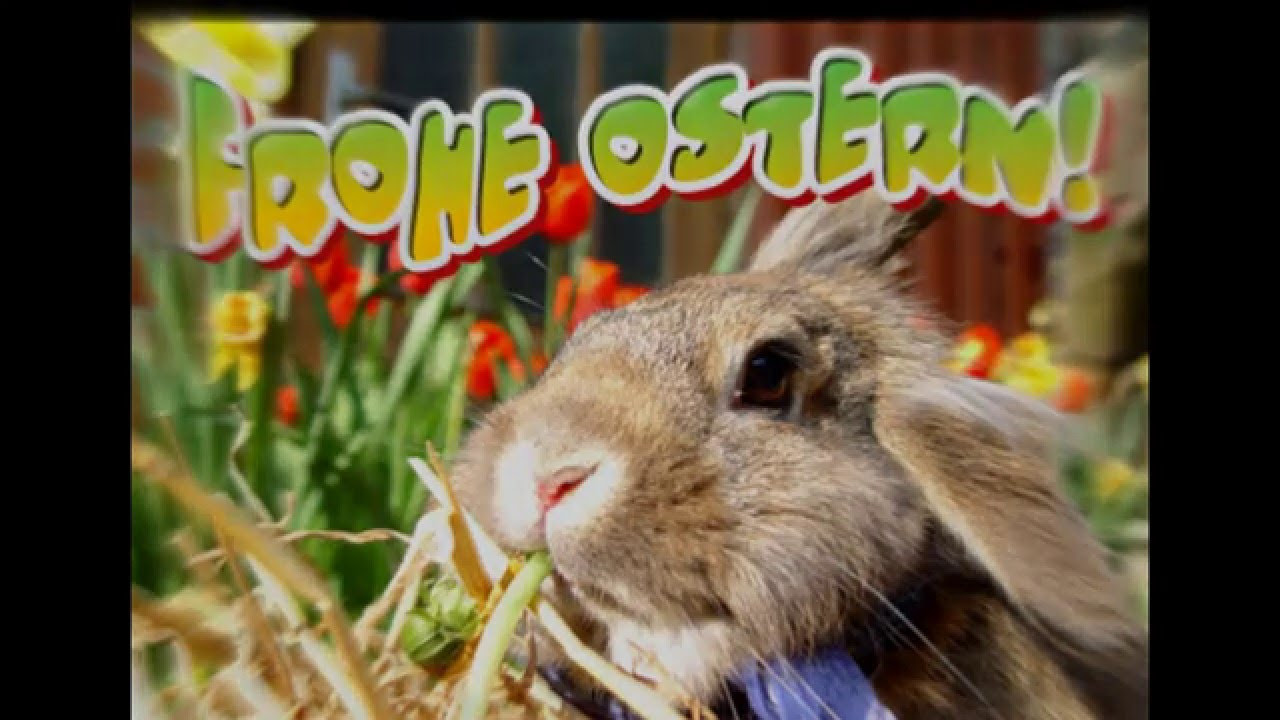 Update New ostern