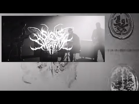 Signs Of The Swarm release song “Malady“ off new album “Amongst The Low & Empty“