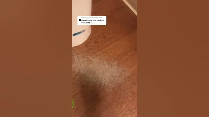 Video 9759891: kitty meow funny cats, meow cute cat kitty, meowing cat sound funny, clean cute funny cat