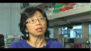 TR10: Dual-Action Antibodies