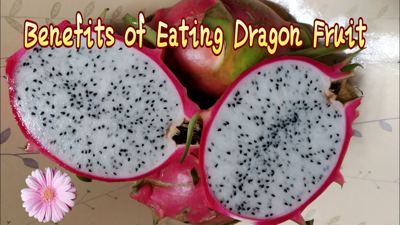 Benefits of Eating Dragon Fruit (superfood powers) YouTube