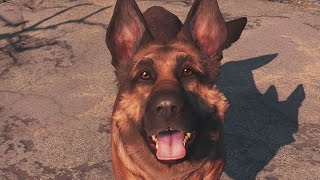 Fallout 4 Combat Gameplay Compilation