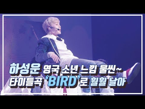 영국 소년 느낌 물씬...'솔로 데뷔' 하성운의 신곡 'BIRD' 무대