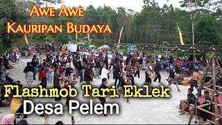 FLASHMOB TARI EKLEK PACITAN || TELUSUR Pringkuku KKN UGM JOGJAKARTA