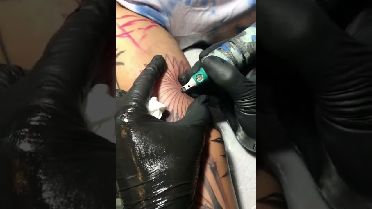 Tropical plants Tattoo #Islandandink #IandI #TIT #blackworkattoo #ornamentaltattoo #plantstattoo