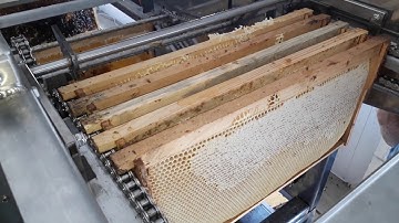 Автоматическая линия для откачки мёда "ПАВИК"