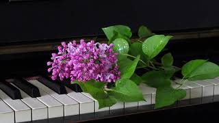 MUSICA PARA RELAJARSE | PIANO CLASICA, TRANQUILA |  REDUCIR ESTRES | MUSICA AMBIENTAL DE FONDO |