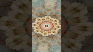 👁️ Mesmerizing LSD Visuals in Ultra 4K | 🌀 Looping visuals — watch twice for full effect