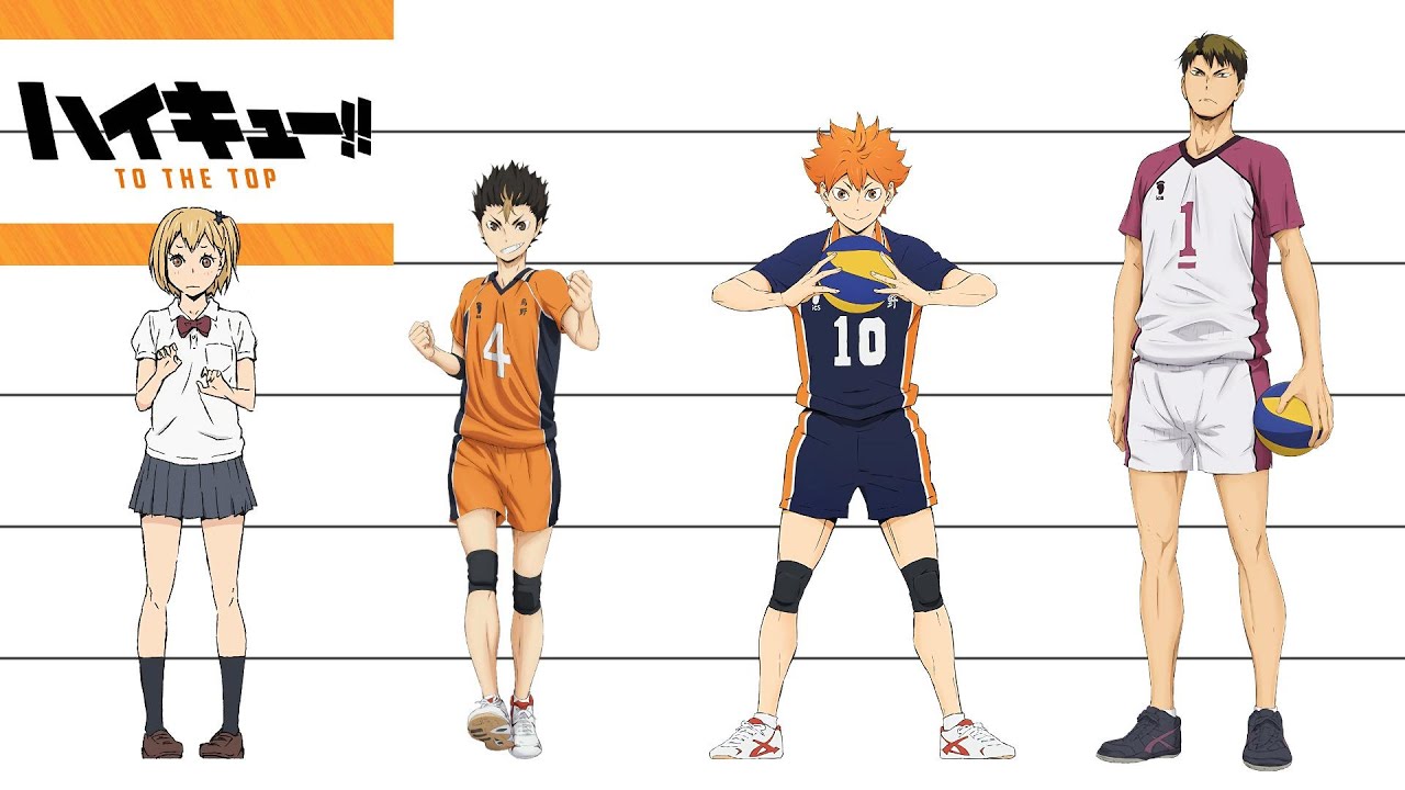 Haikyuu Height Comparison on Season 4 - Haikyuu Anime Characters Height.