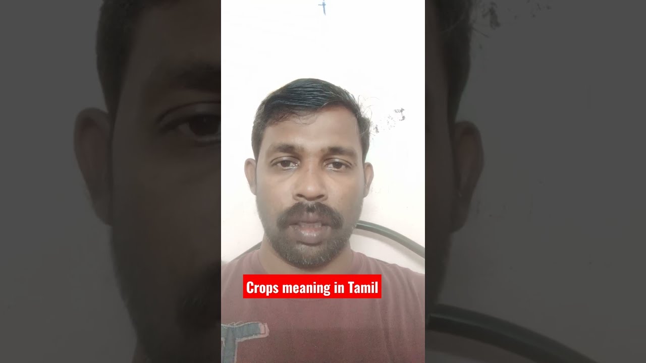 Crops Meaning In Tamil YouTube Crops Meaning In Tamil YouTube