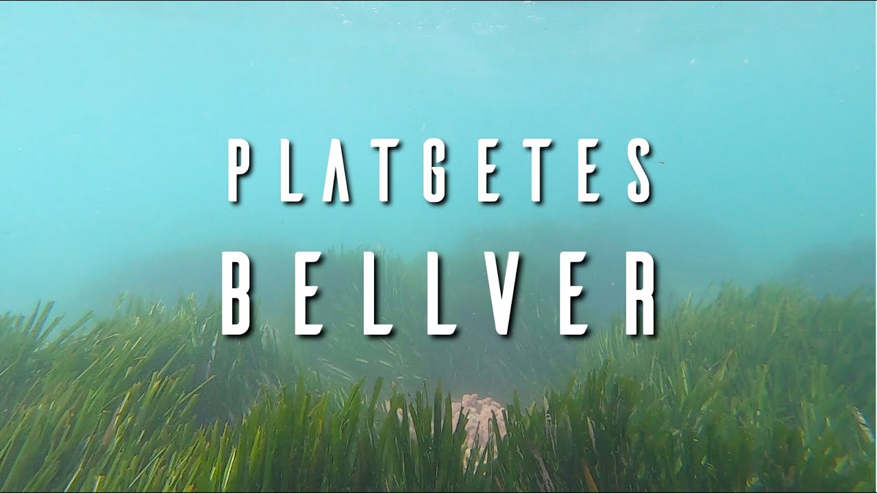 Platgetes de Bellver 2020-06