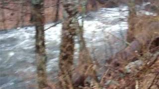 DSCF1217.AVI