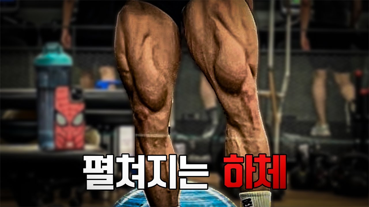 두껍고 펼쳐지는 하체 만드는 5가지 하체 운동