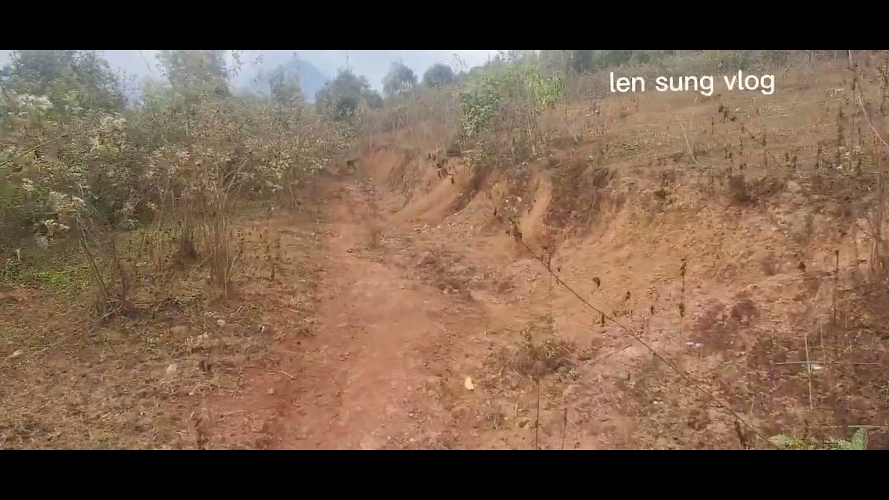 Đi tìm lá dong cho khách dưới hà nội