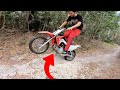 PITBIKES ON MTB TRAILS!