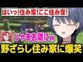 【あらなみマイクラ】野ざらしすぎるしーちゃんの住み家の隣に住み家を作るベリーw【にじさんじ】