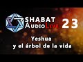 Yeshua y el árbol de la vida #SHABATaudioLive 23