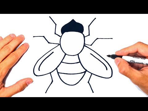 Vídeo: Como Desenhar Uma Mosca Com Um Lápis Passo A Passo