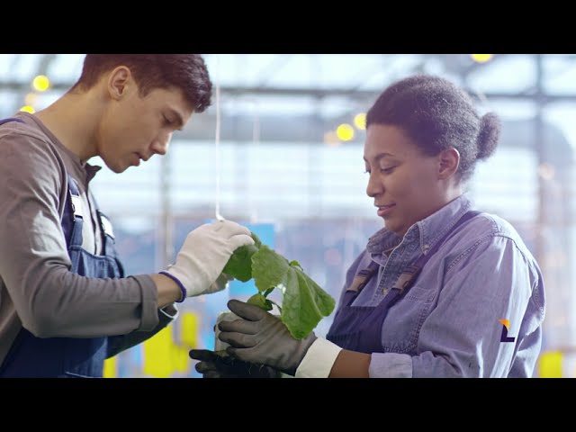 pratique ESG Leclerc Consulting Group