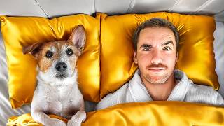 Thumbnail for I Tested 5-Star Hotels Made For Dogs