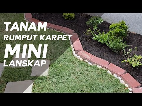 Video: Lakukan landskap halaman sendiri