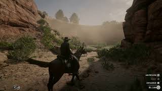Famous Never Realized The Del Lobos Were Planning An Attack On MacFarlane’s Ranch | Red Dead Redemption 2 Profile