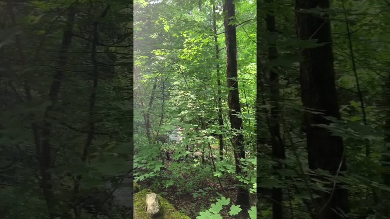 Exploring Glen echo park: 