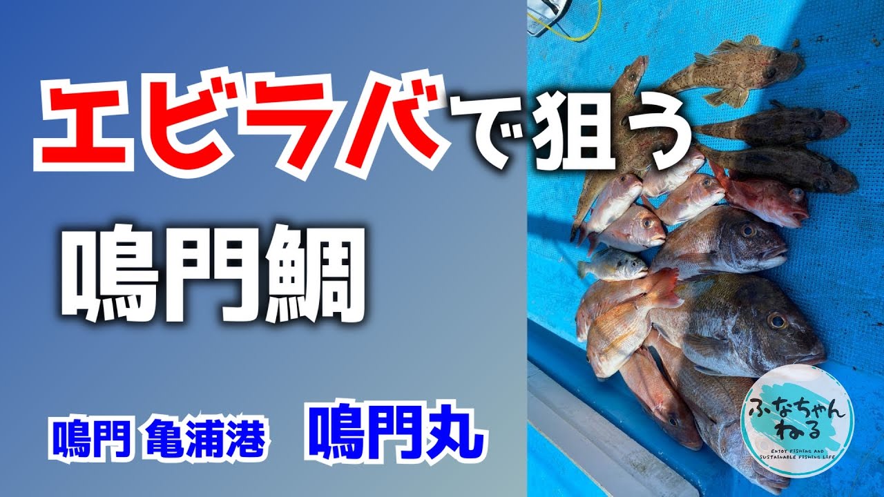 【タイラバ】6月中潮回り（7日潮）エビラバで狙う鳴門鯛