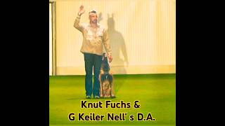 Kleine Spielerei Mit Effekten Beim Cut. - Knut Fuchs G Keiler Nell S D.a. - Adventpokal 2024