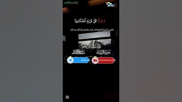 من سورة الأنبياء | برواية شعبة عن عاصم | بصوت الشيخ العفاسي | #غزة_تموت_جوعا#غزة_تُقتل_جوعا#غزة_تباد