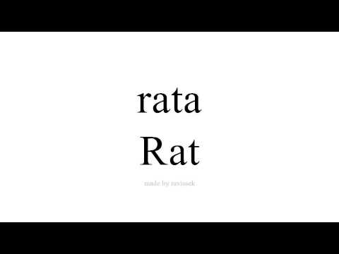 ისწავლეთ ესპანური   Rat