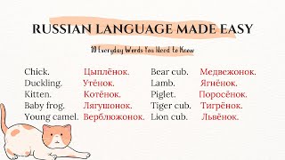 Day 175 | Russian Language Made Easy | 10 Everyday Words You Need to Know