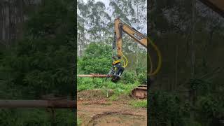 Tree Shear #treeshear #forestrymachinery