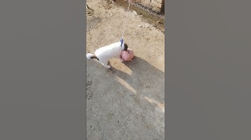 #myfirstvlog #sidhumoosewala #viralshort #firstvlog #my_first_vlog #myfirstblog #youtube #shorts