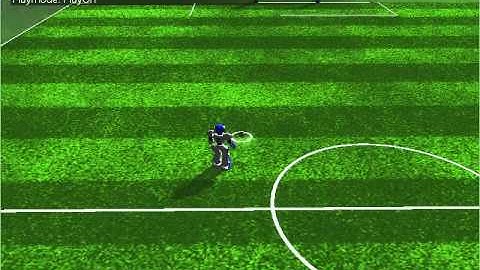 UT Austin Villa 3D Simulation RoboCup 2011 Omnidirectional Walk DriveBallToGoal Optimization