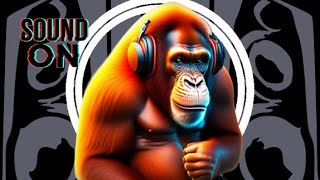 4B - Hold It Dolw P.o.p