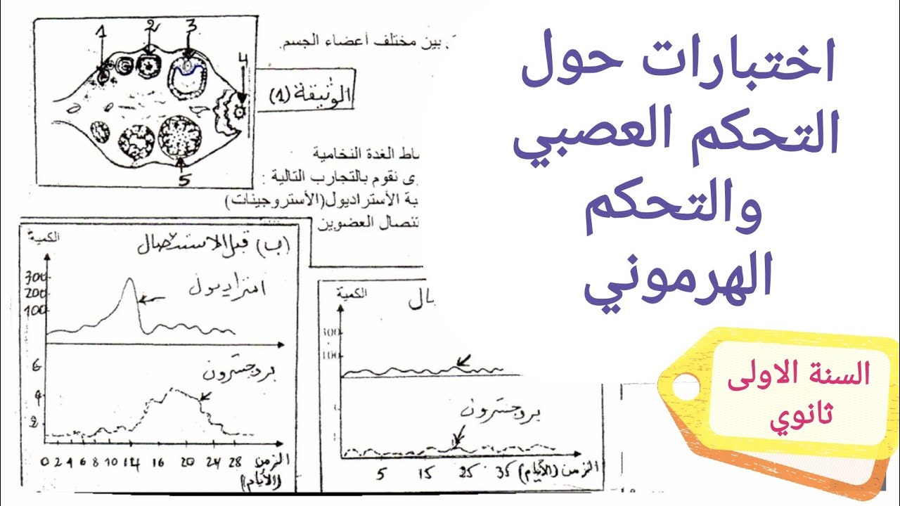 تمارين حول التحكم العصبي والتحكم الهرموني اولى ثانوي