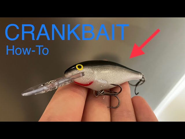 Anatomy of a Crankbait - LiveOutdoors