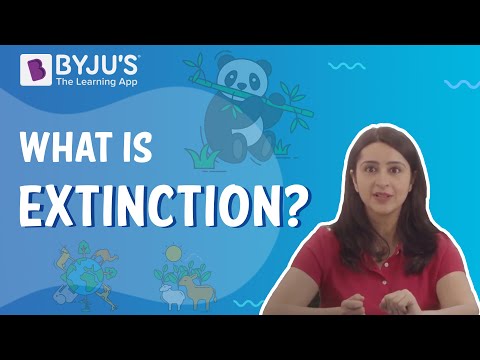 What Is Extinction? | Class 5 | Learn With BYJU'S