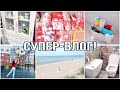 ДЕНЬГИ и ДЕТИ. МЯСНЫЕ ЗАГОТОВКИ. ТЕПЕРЬ УБОРКА ПРОЩЕ.  КУРИЦА в СМЕТАНЕ. ОТДЫХ в КАЛИНИНГРАДЕ