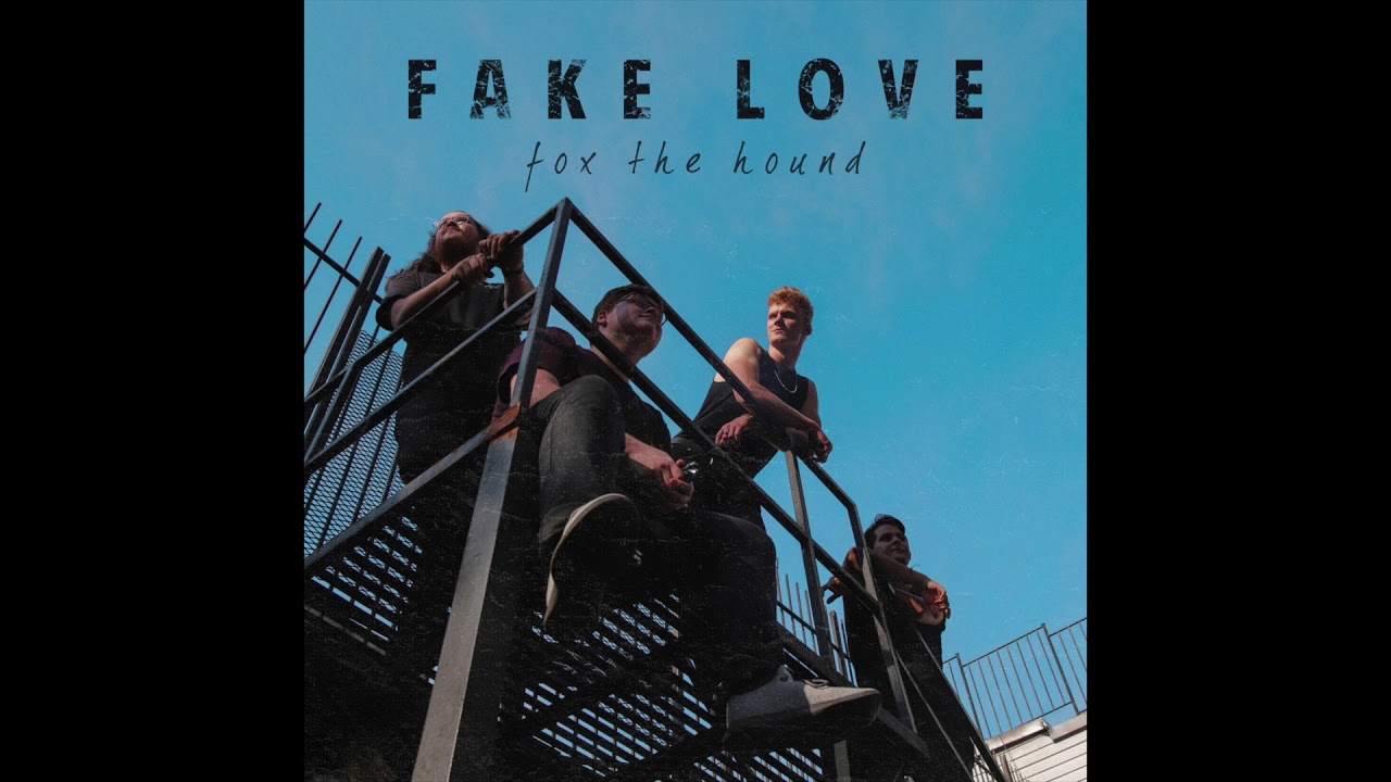 Fox the Hound - Fake Love