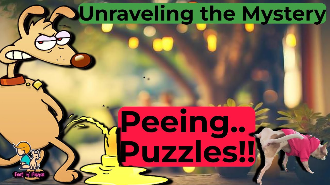 Dog peeing Everywhere The Pee Everywhere Phenomenon The Science behind Dog peeing Peeing