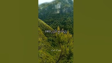 رَّبَّنَا إِنَّنَا سَمِعْنَا مُنَادِيًا يُنَادِي لِلْإِيمَانِ || سورة آل عمران || ماهر المعيقلي