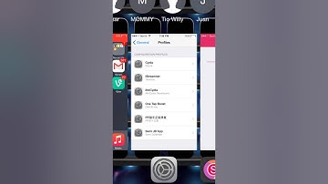 How To Get Vshare on iOS 8.3
