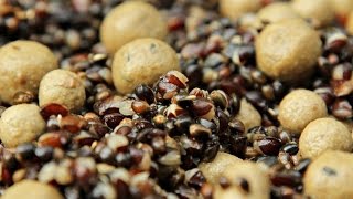 СЕМЕНА КОНОПЛИ ДЛЯ РЫБАЛКИ СЕМЕНА КОНОПЛИ ДЛЯ РЫБАЛКИ