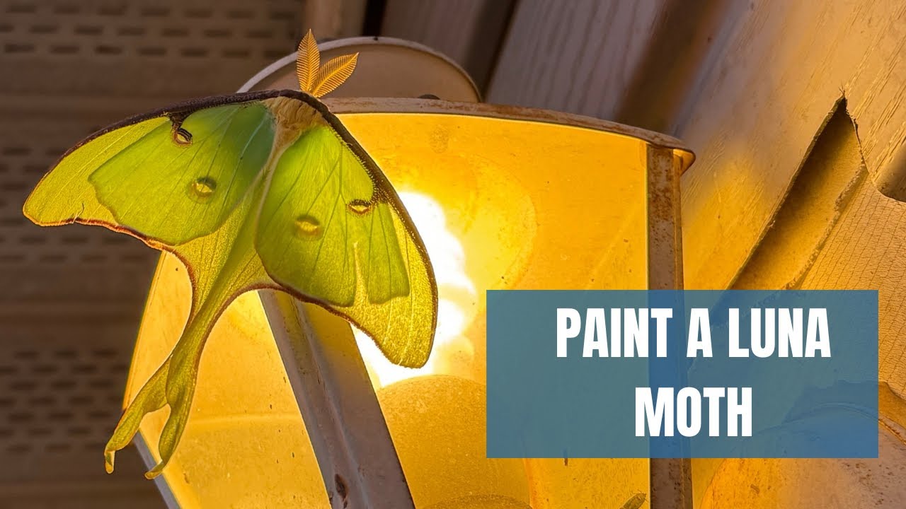 Create a Translucent Glow While Painting a Luna Moth on a Porch Light