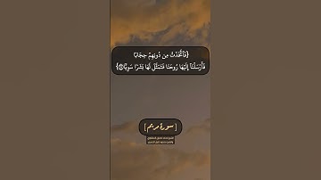 سورة مريم الآية ١٥ الى ١٩ بصوت الشيخ محمد صديق المنشاوي والشيخ محمود خليل الحصري