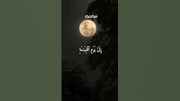 #قرآن_يريح_القلب #قرآن #قران_كريم #سورة_القصص
