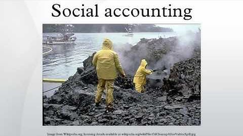 Social accounting