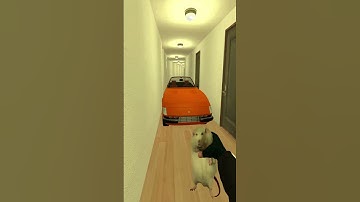 Too Much Cockroach Super Chasing in Liminal Nextbot Gmod